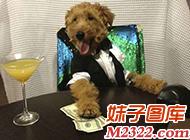 爷差的不是钱，而是女人！(WWW.m2322.com)