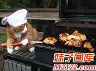 帮主人烤肉的喵星人 真是太可爱啦！(WWW.m2322.com)