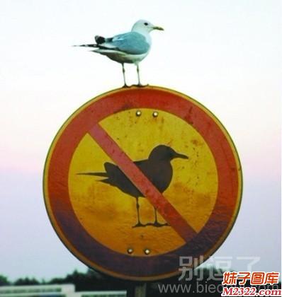 我就停靠在上面，你能把我怎样哈哈哈~~(WWW.m2322.com)