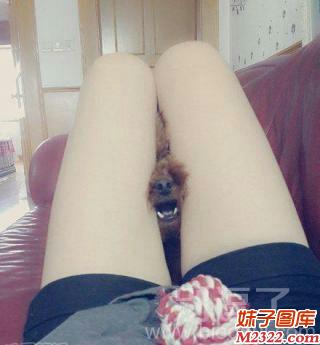 主人饶了我吧，别用大腿夹住我(WWW.m2322.com)