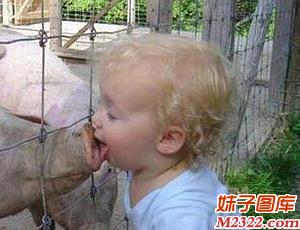 糗事百科图片：小屁孩和猪亲吻有什么感觉(WWW.m2322.com)