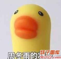小黄鸭是不是像极了周冬雨的凝视(WWW.m2322.com)