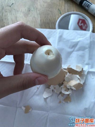 谁能告诉我这蛋到底经历了什么(WWW.m2322.com)