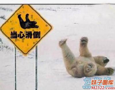 当心滑倒标志图片，可怜我有过熊宝宝了(WWW.m2322.com)