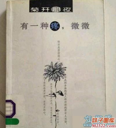 有故事的作者:菊开那夜，有一种疼，微微(WWW.m2322.com)