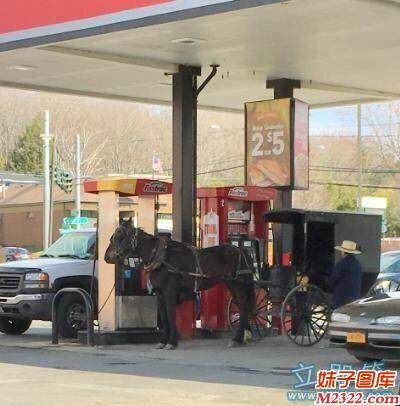 大爷开着宝马加油搞笑图片(WWW.m2322.com)