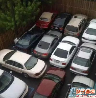 司机们，你们停的时候就没想过要出来吗(WWW.m2322.com)