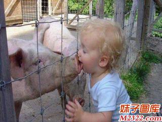 小宝宝的初吻就这样给了猪先生(WWW.m2322.com)