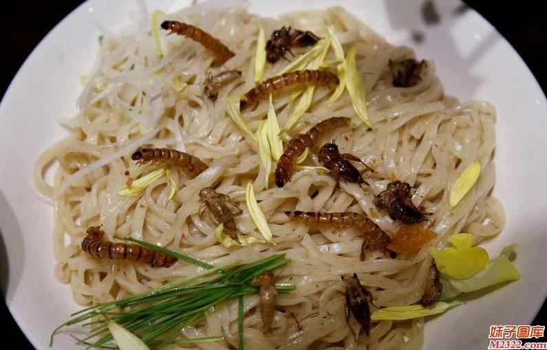 重口味的昆虫拉面成岛国的新宠 你敢吃吗？(WWW.m2322.com)