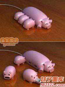 超级可爱的猪猪U盘与插线器(WWW.m2322.com)
