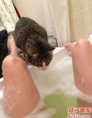 美女洗澡被猫咪看光光照片(WWW.m2322.com)
