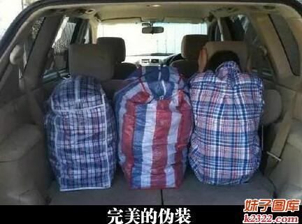 超载时完美的伪装 超级无敌(WWW.m2322.com)