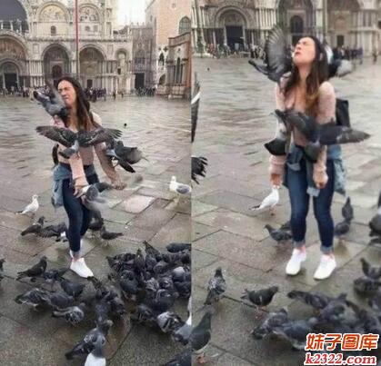 妹子喂鸽子真是悲催啊(WWW.m2322.com)