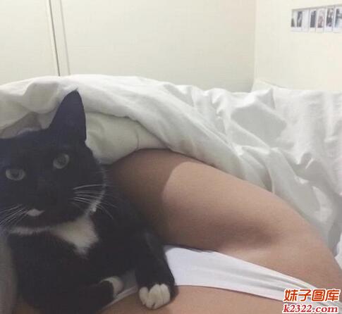 喵星人走开，让我钻进美女的被窝干羞羞事(WWW.m2322.com)