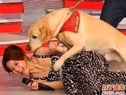 看来又是一只重口味的狗狗，把主持人当场吓倒(WWW.m2322.com)