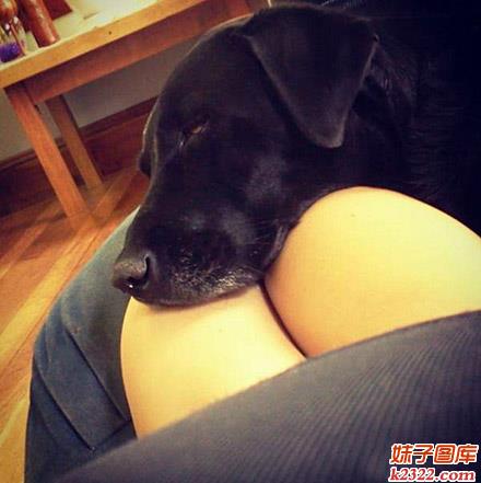 单身男的悲哀 活得竟不如一条狗(WWW.m2322.com)
