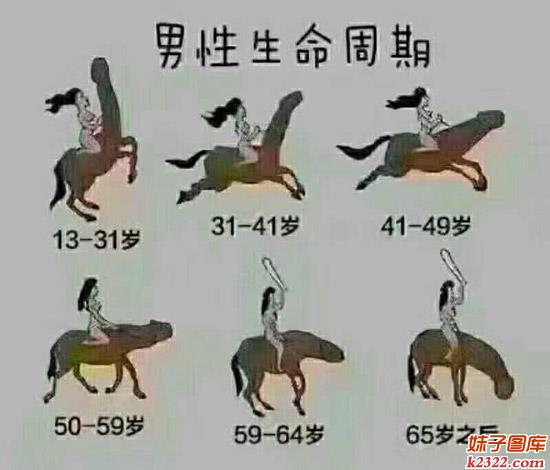 男性生命周期搞趣污污图(WWW.m2322.com)