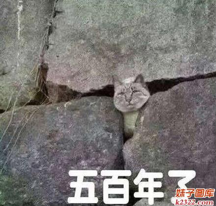 师傅，我都等你500年了，你咋还不来救我呢？(WWW.m2322.com)