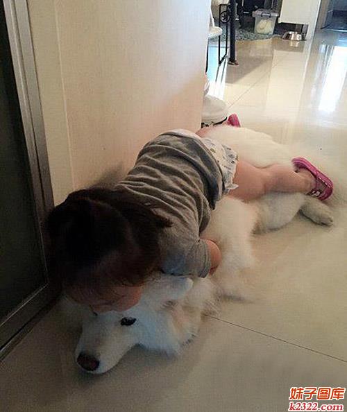 小孩子表达爱的方式真不同 可惜倒霉了狗狗哦(WWW.m2322.com)