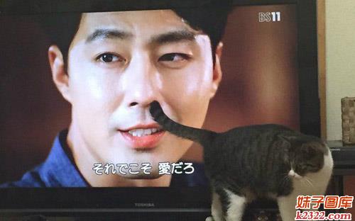 这年头猫咪都知道调戏人了，这是要上天吗？(WWW.m2322.com)