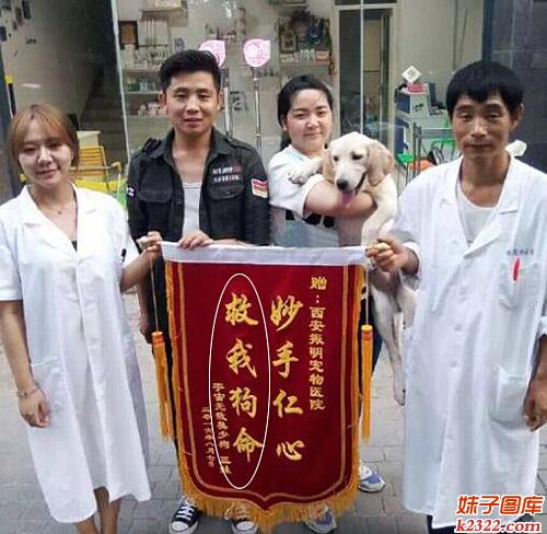 救我狗命锦旗图片：汉子果真威武(WWW.m2322.com)
