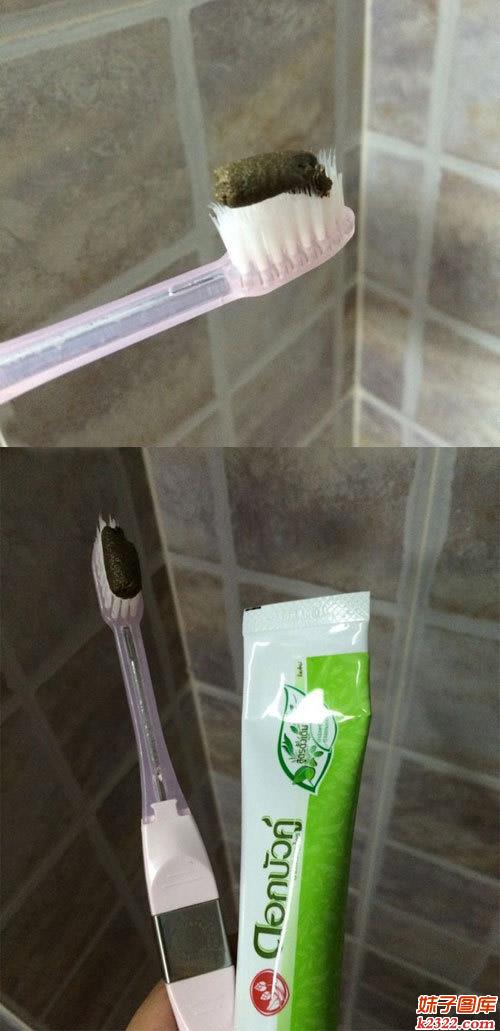 狗屎般的牙膏，让人真心下不去嘴呀！(WWW.m2322.com)