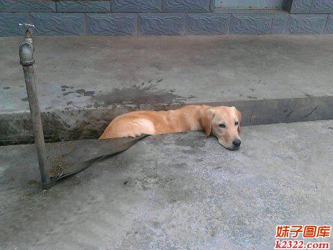 快来人救救我啊，我被卡住取不出来了(WWW.m2322.com)