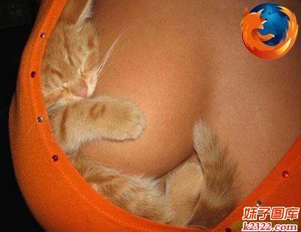 终于知道firefox的标志 原来是这样得出来的(WWW.m2322.com)