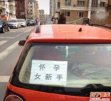 “怀孕女新手”标语出门相当无敌(WWW.m2322.com)