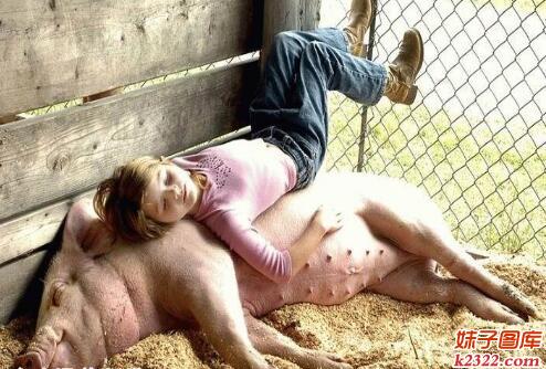 小女孩睡在猪背上是不是很舒服啊(WWW.m2322.com)