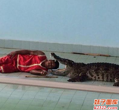 兄弟，你真不怕鳄鱼把你一口吃掉？(WWW.m2322.com)