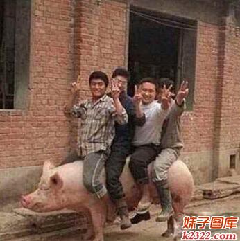 屌丝们，你们只管享受，有考虑过猪是何种心情吗？(WWW.m2322.com)