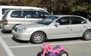 社会百态图片：人类的另类汽车