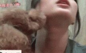 小狗亲漂亮女主人gif动态图片