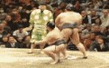 日本相扑比赛搞笑图片