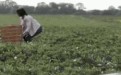 美女野外上厕所图片