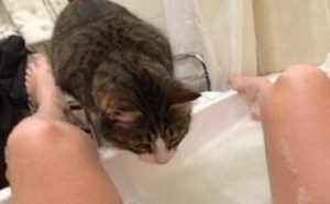 美女洗澡被猫咪看光光照片