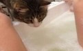 搞笑色猫咪偷看美女洗澡的图片 搞笑色猫咪偷看美女洗澡的图片