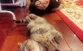 美女与另类睡姿附体幽默搞笑图片笑死人 美女与另类睡姿附体幽默搞笑图片笑死人