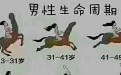 男性生命周期搞趣污污图 男性生命周期搞趣污污图