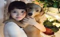 美女与狗狗拥抱在一起唯美图片 美女与狗狗拥抱在一起唯美图片