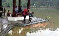 金鱼们,我的童子尿好喝吗? 金鱼们,我的童子尿好喝吗?