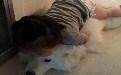 小孩子表达爱的方式真不同 可惜倒霉了狗狗哦 小孩子表达爱的方式真不同 可惜倒霉了狗狗哦