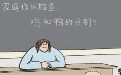 老爸想歪了 鸡和鸭有什么区别 老爸想歪了 鸡和鸭有什么区别