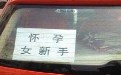 “怀孕女新手”标语出门相当无敌