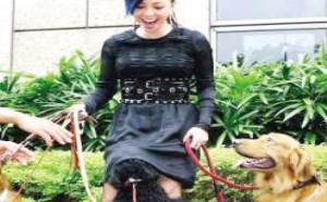 狗狗也好色，看到美女穿裙子直接就拱进去看
