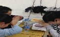 缺汉子的女人,拜桃花求桃花运 缺汉子的女人,拜桃花求桃花运