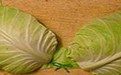 白菜做的乳罩,穿上变身性感小萝莉 白菜做的乳罩,穿上变身性感小萝莉