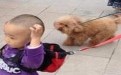 这妈是亲生的吗,把自己儿子当成狗养 这妈是亲生的吗,把自己儿子当成狗养