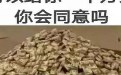 为了钱,你会朝你的好兄弟开枪吗? 为了钱,你会朝你的好兄弟开枪吗?